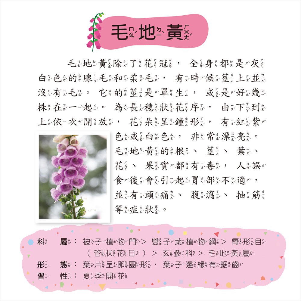 植物小百科(正方彩色精裝書144頁)