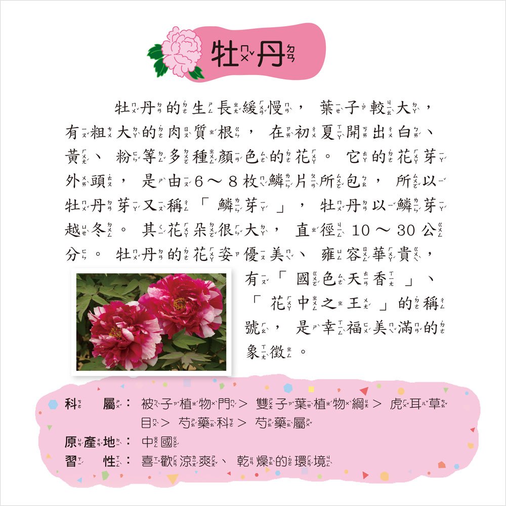 植物小百科(正方彩色精裝書144頁)