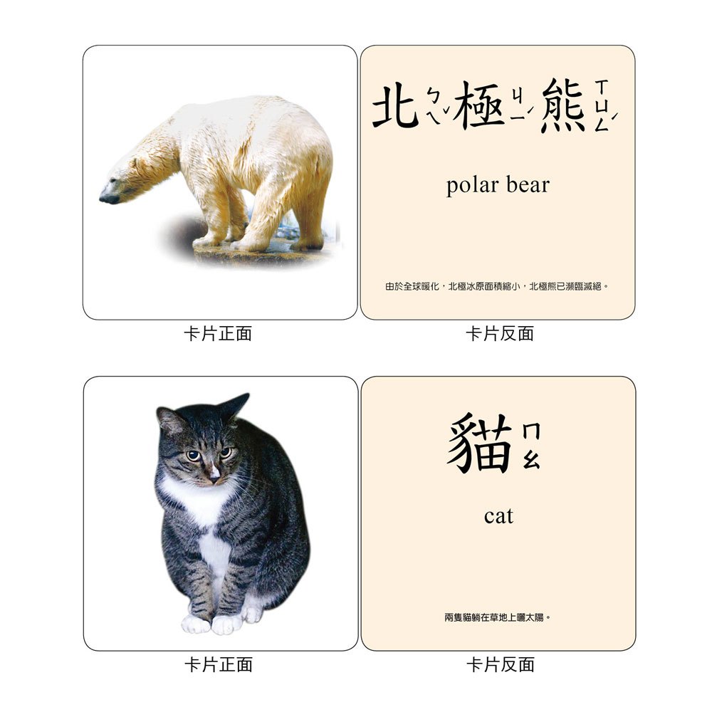 baby's認知學習圖卡-動物世界
