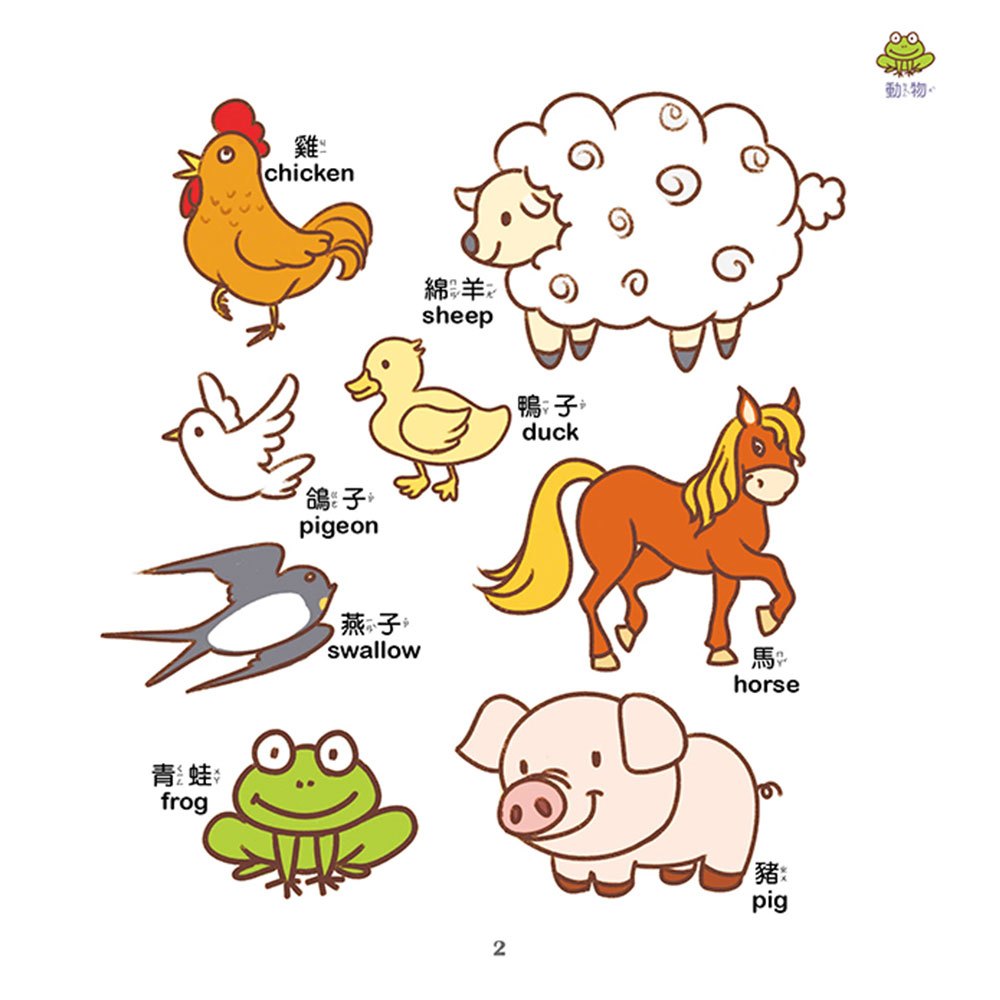 中英雙語認知小百科　幼兒階段發展前運思期-感官專注力