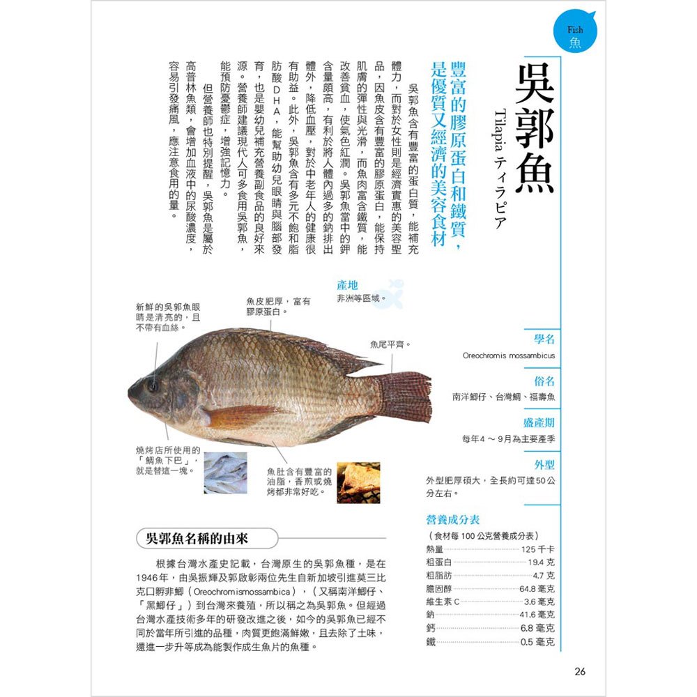 史上最完整魚類海鮮圖鑑 168幼福童書網