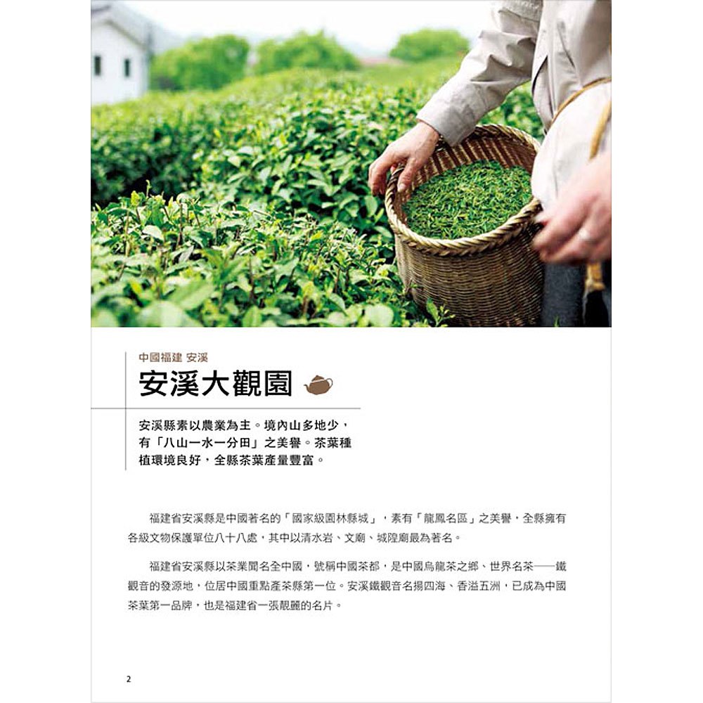 尋茶記‧中國茶葉地理