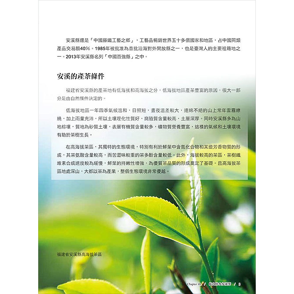尋茶記‧中國茶葉地理