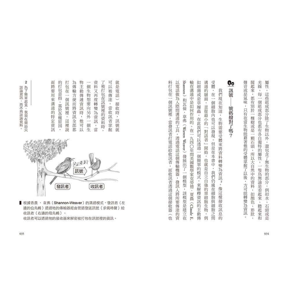 森林不寂靜