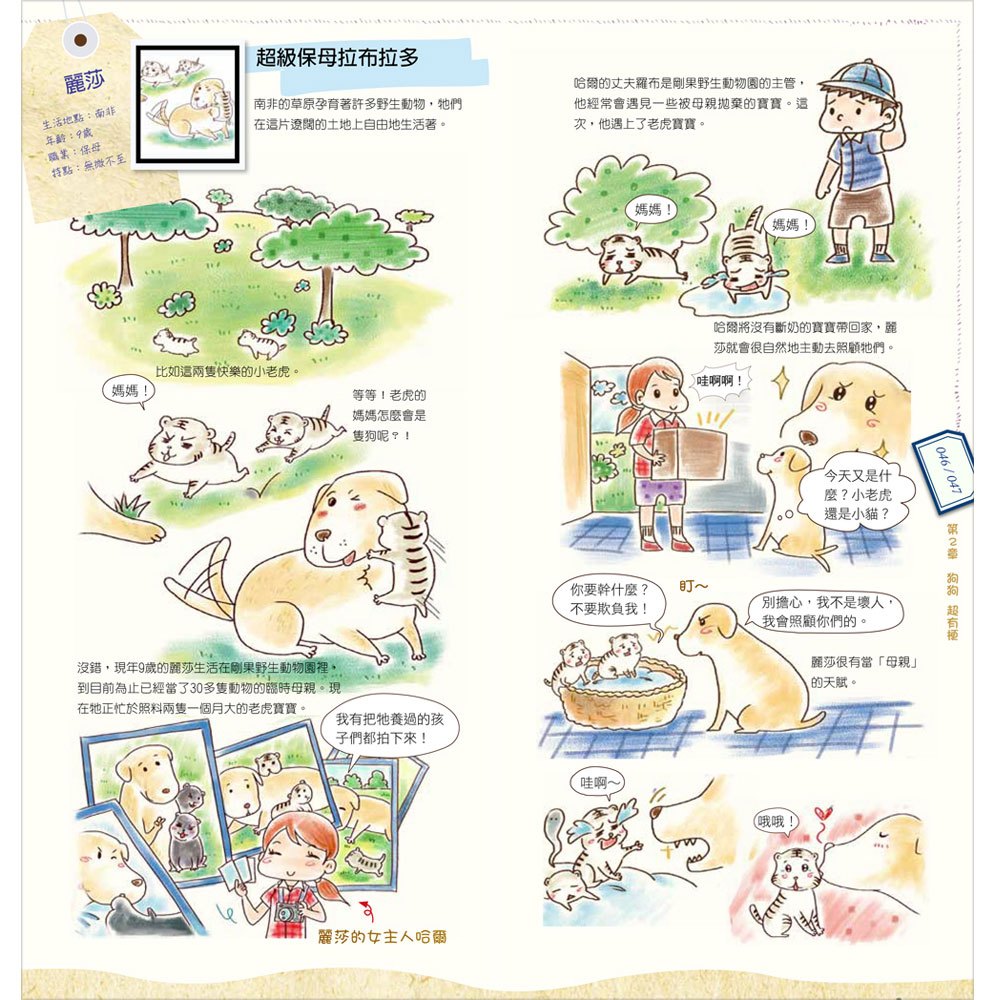 翻滾吧!動物小醬搞笑聯萌