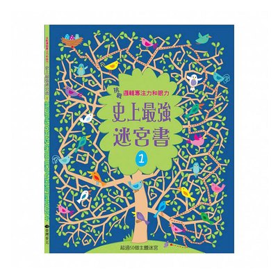 挑戰邏輯專注力和眼力:史上最強迷宮書1